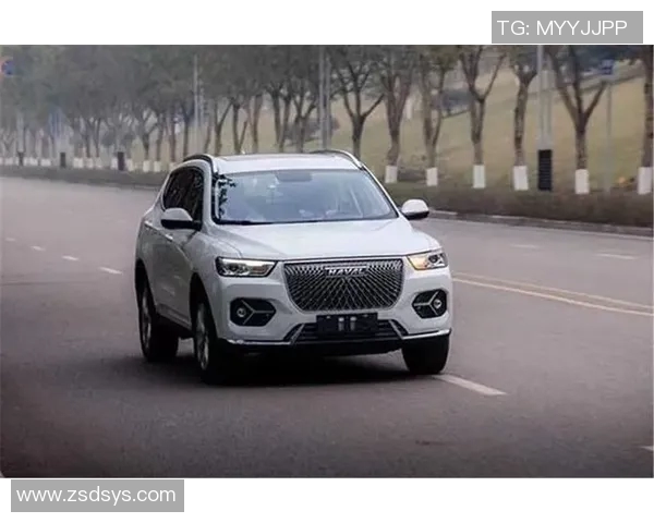 探索vs26版本的创新功能与性能提升对比分析